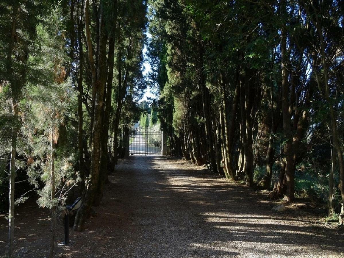 Castello Di Colognole - Appartamento Quaratesi Greve in Chianti Exterior foto